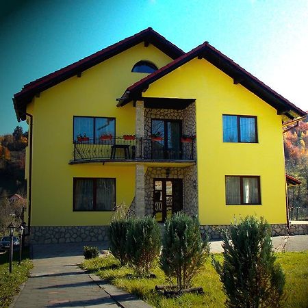 מויצ'ו דה סוס Casa Olteanu Pension מראה חיצוני תמונה