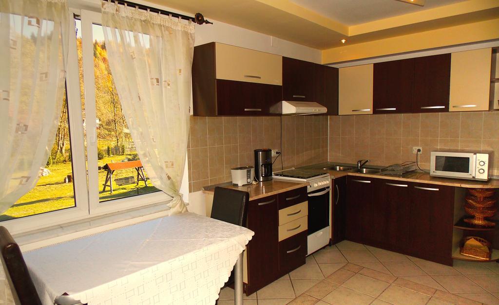 מויצ'ו דה סוס Casa Olteanu Pension מראה חיצוני תמונה