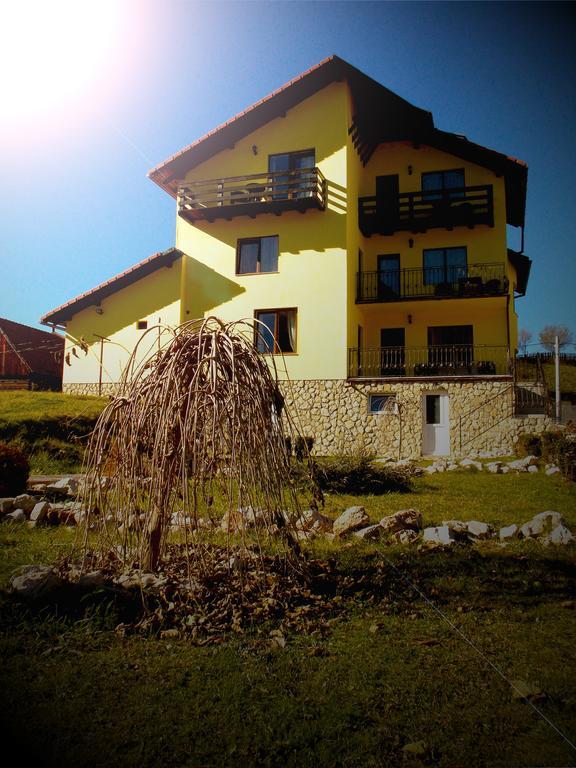מויצ'ו דה סוס Casa Olteanu Pension מראה חיצוני תמונה
