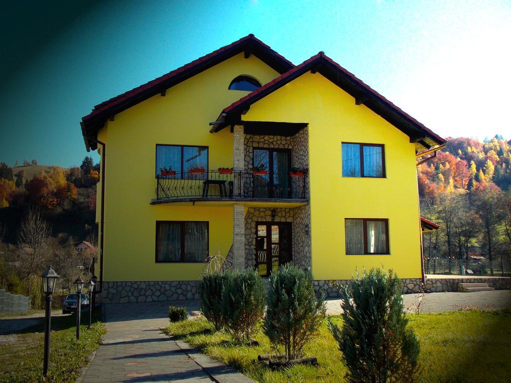 מויצ'ו דה סוס Casa Olteanu Pension מראה חיצוני תמונה